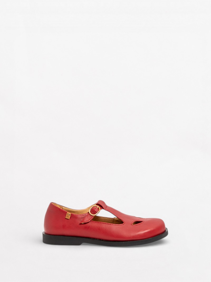 Arenisca N5873